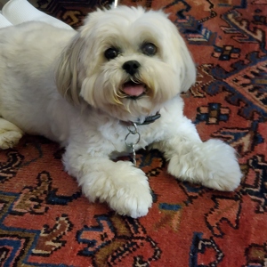 Fundraising Page: SABRINA BALTHAZOR